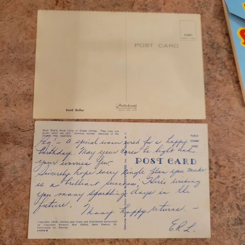 Vintage Postcard Booklets from Florida ~ Circus ~ Seashells ~ Retro!